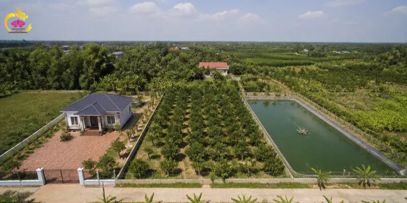 Thiet ke chua co ten 2 3 3